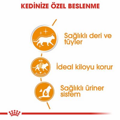 Royal Canin Intense Beauty Gravy Pouch Yetişkin Kedi Konservesi 12 Adet 85 Gr - 2