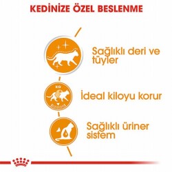 Royal Canin Intense Beauty Gravy Pouch Yetişkin Kedi Konservesi 85 Gr - 2