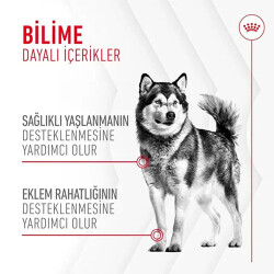 Royal Canin Joint Ageing Chews Eklem Sağlığını Destekleyen ve Yaşlanma Karşıtı Yetişkin Köpek Ödül Maması 240 Gr - 2