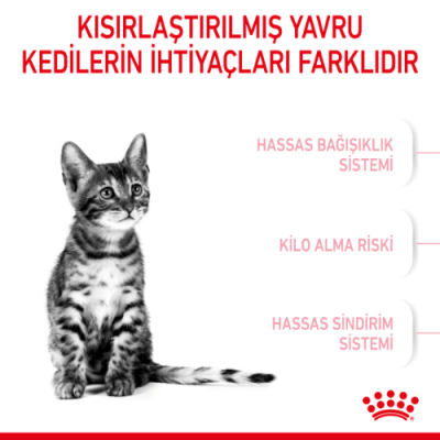 Royal Canin Kitten Sterilised Kısırlaştırılmış Yavru Kedi Maması 2 Kg - 3