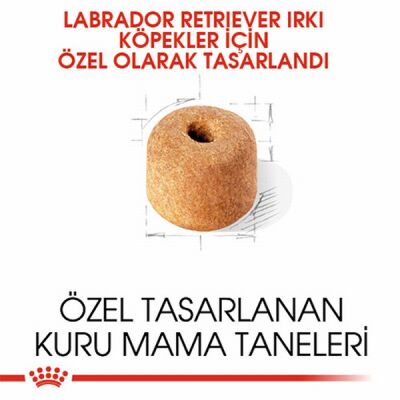 Royal Canin Labrador Retriever Adult Yetişkin Köpek Maması 12 Kg - 2