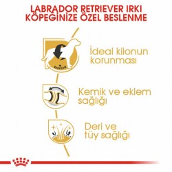Royal Canin Labrador Retriever Adult Yetişkin Köpek Maması 12 Kg - 3