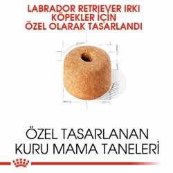 Royal Canin Labrador Retriever Adult Yetişkin Köpek Maması 12 Kg - 2