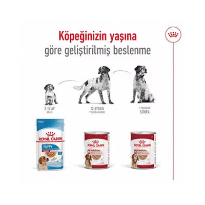 Royal Canin Loaf Mousse Orta Irk Ezme Yetişkin Köpek Konservesi 12 Adet 410 Gr - 3