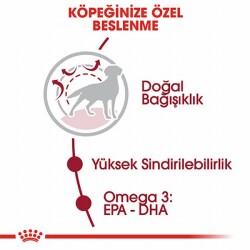 Royal Canin Medium Adult Orta Irk Yetişkin Köpek Maması 15 Kg - 2