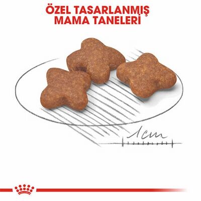 Royal Canin Mini Adult 8+ Küçük Irk Yaşlı Köpek Maması 2 Kg - 3