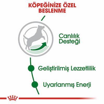 Royal Canin Mini Adult 8+ Küçük Irk Yaşlı Köpek Maması 2 Kg - 2
