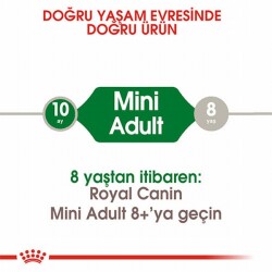 Royal Canin Mini Adult Küçük Irk Yetişkin Köpek Maması 4 Kg - 2