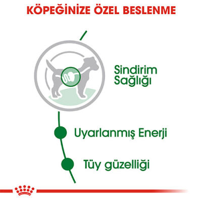 Royal Canin Mini Adult Pouch Yetişkin Köpek Konservesi 6 Adet 85 Gr - 3