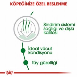 Royal Canin Mini İndoor Adult Küçük Irk Yetişkin Köpek Maması 1,5 Kg - 2