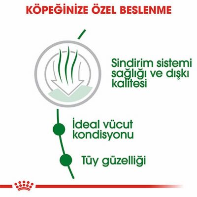 Royal Canin Mini İndoor Adult Küçük Irk Yetişkin Köpek Maması 1,5 Kg - 2