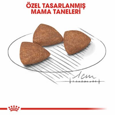 Royal Canin Mini İndoor Adult Küçük Irk Yetişkin Köpek Maması 1,5 Kg - 3
