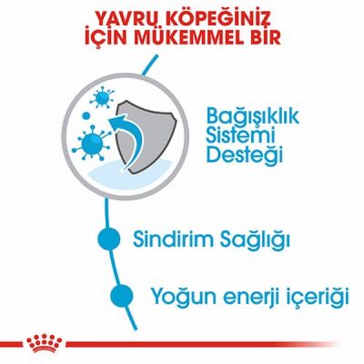 Royal Canin Mini Puppy Küçük Irk Yavru Köpek Maması 2 Kg+2 Adet Pouch Hediye - 3