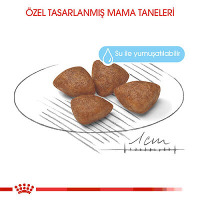 Royal Canin Mini Starter Mother & Babydog Küçük Irk Yavru Köpek Maması 4 Kg - 2