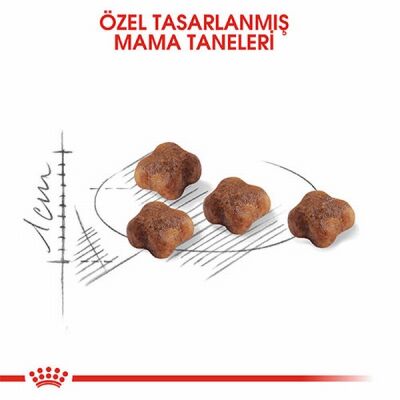 Royal Canin Mother & Babycat Yavru Kedi Maması 2 Kg - 2