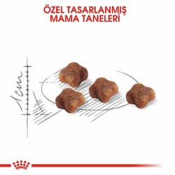Royal Canin Mother & Babycat Yavru Kedi Maması 4 Kg - 2