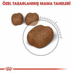 Royal Canin Oral Care Ağız Diş Sağlığı İçin Yetişkin Kedi Maması 1,5 Kg - 3
