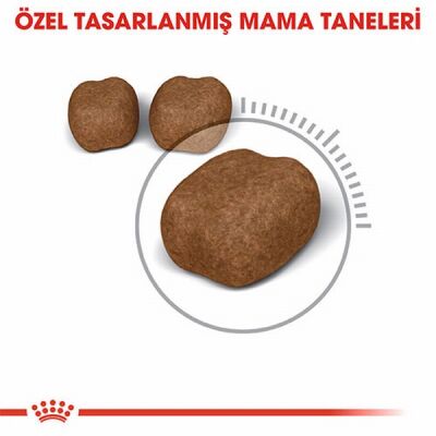 Royal Canin Oral Care Ağız Diş Sağlığı İçin Yetişkin Kedi Maması 1,5 Kg - 3