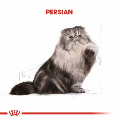 Royal Canin Persian Adult Pouch Yetişkin Kedi Konservesi 12 Adet 85 Gr - 3