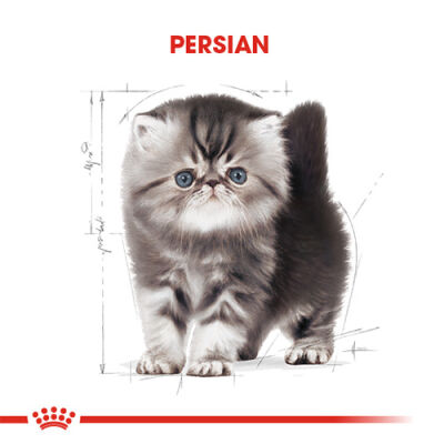 Royal Canin Persian Kitten İran Yavru Kedi Maması 2 Kg - 2