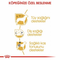 Royal Canin Poodle Adult Yetişkin Köpek Maması 3 Kg - 2