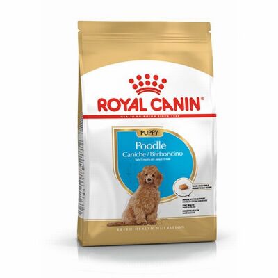 Royal Canin Poodle Puppy Yavru Köpek Maması 3 Kg - 1