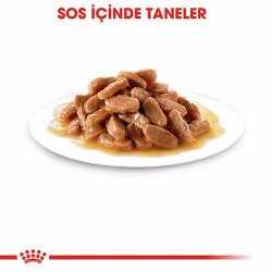Royal Canin Pouch Kitten Gravy Yavru Kedi Konservesi 12 Adet 85 Gr - 3