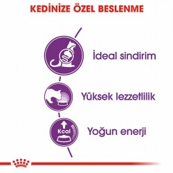 Royal Canin Sensible 33 Hassas Sindirim Sistemi Destekleyici Yetişkin Kedi Maması 4 Kg - 3