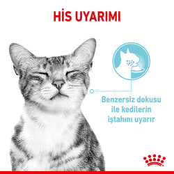 Royal Canin Sensory Feel in Gravy Adult Yetişkin Kedi Konservesi 85 Gr - 3