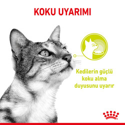 Royal Canin Sensory Smell Gravy Adult Yetişkin Kedi Konservesi 6 Adet 85 Gr - 3