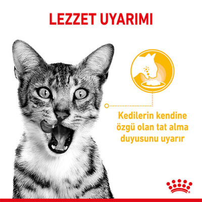 Royal Canin Sensory Taste Gravy Adult Yetişkin Kedi Konservesi 12 Adet 85 Gr - 3