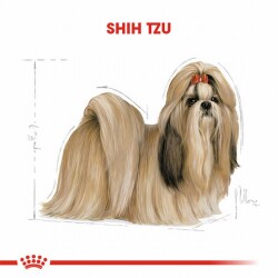 Royal Canin Shih Tzu Adult Yetişkin Köpek Maması 1,5 Kg - 2