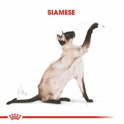 Royal Canin Siamese Adult Siyam Yetişkin Kedi Maması 2 Kg - 2