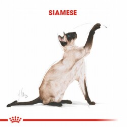 Royal Canin Siamese Adult Siyam Yetişkin Kedi Maması 2 Kg - 2