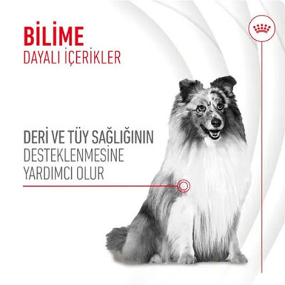 Royal Canin Skin Coat Chews Deri ve Tüy Sağlığını Destekleyen Yetişkin Köpek Ödül Maması 240 Gr - 2
