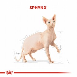 Royal Canin Sphynx Adult Yetişkin Kedi Maması 2 Kg - 2