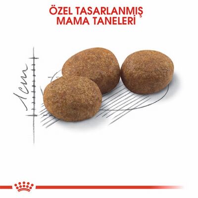 Royal Canin Sterilised 37 Kısırlaştırılmış Kedi Maması 400 Gr - 3