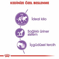 Royal Canin Sterilised Jelly Pouch Kısırlaştırılmış Kedi Konservesi 6 Adet 85 Gr - 3