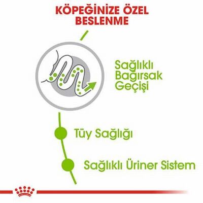 Royal Canin X Small Adult Küçük Irk Yetişkin Köpek Maması 3 Kg - 3