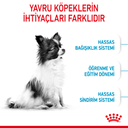 Royal Canin X Small Puppy Küçük Irk Yavru Köpek Maması 3 Kg - 3