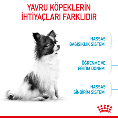 Royal Canin X Small Puppy Küçük Irk Yavru Köpek Maması 500 Gr - 3