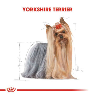 Royal Canin Yorkshire Terrier Adult Yetişkin Köpek Konservesi 12 Adet 85 Gr - 2