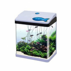 Sobo Komple Akvaryum 28,5x19x34 Cm Kırmızı - Sobo
