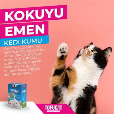 TofuCat Tuvalete Atılabilen Koku Hapsedeci Topaklanan Doğal Kedi Kumu 4 Adet 8 Lt - 2