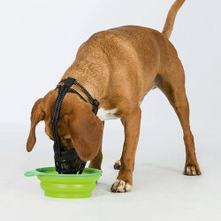 Trixie Esnek Silikon Köpek Ağızlığı 39 Cm XL - 3