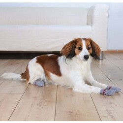 Trixie Kaymaz Tabanlı Köpek Çorabı 2 Adet S-M Border Collie - 2