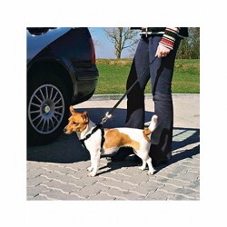 Trixie Köpek Emniyet Kemeri Large 70-90 Cm - 2