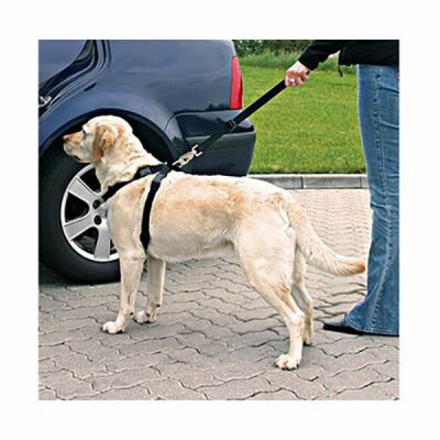 Trixie Köpek Emniyet Kemeri Large 70-90 Cm - 3