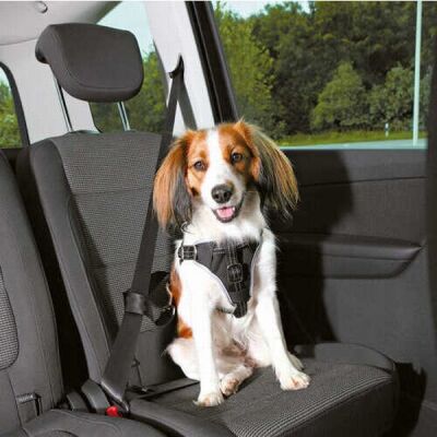 Trixie Köpek Emniyet Kemeri ve Göğüs Tasması Siyah S-M 40-55 Cm 17 Mm - 2