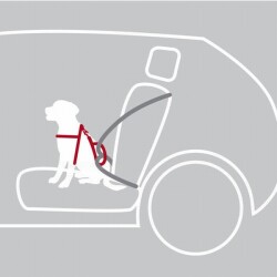 Trixie Köpek Emniyet Kemeri ve Göğüs Tasması Siyah S-M 40-55 Cm 17 Mm - 3